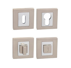 MP - Rosetta Square Rosette - HR