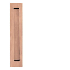 JNF - Seashells in.16.416